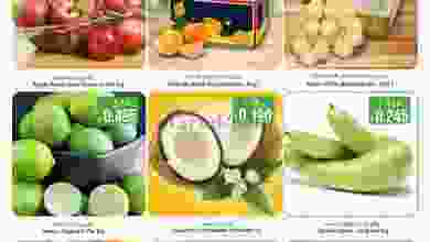el3rod.com00001-494