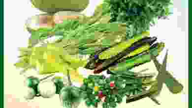 el3rod.com00001-524
