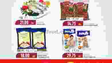 el3rod.com00001-528