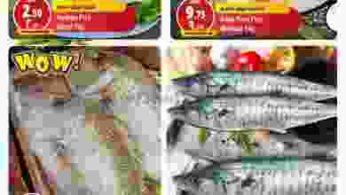 el3rod.com00001-529