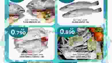 el3rod.com00001-599
