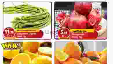 el3rod.com00001-600