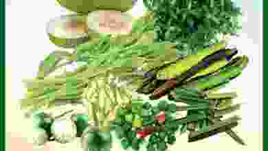 el3rod.com00001-606