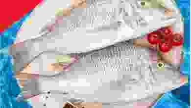 el3rod.com00001-637