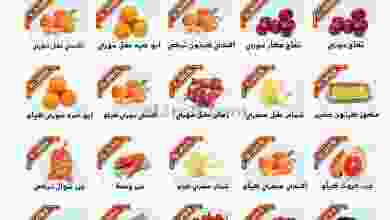 el3rod.com00001-722