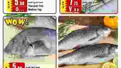 el3rod.com00001-829