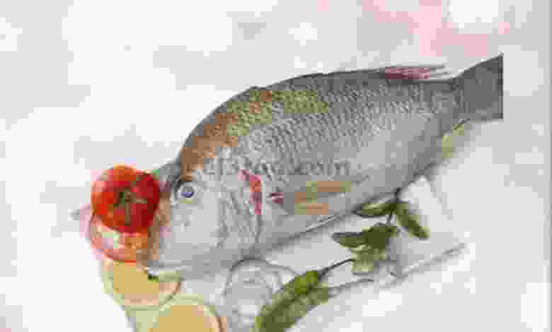 el3rod.com00001-848