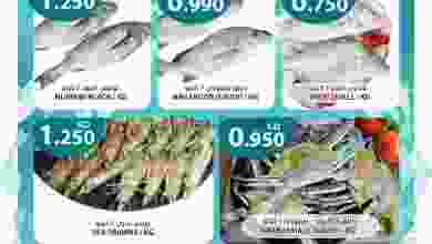 el3rod.com00001-919