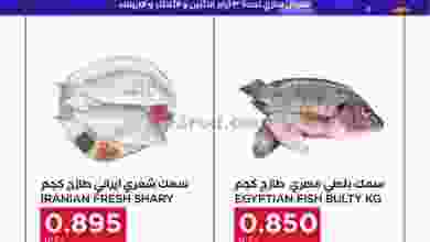 el3rod.com00001-936