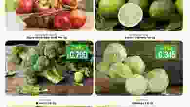 el3rod.com00001-966