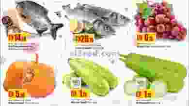 el3rod.com00002-381