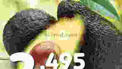 el3rod.com00002-557