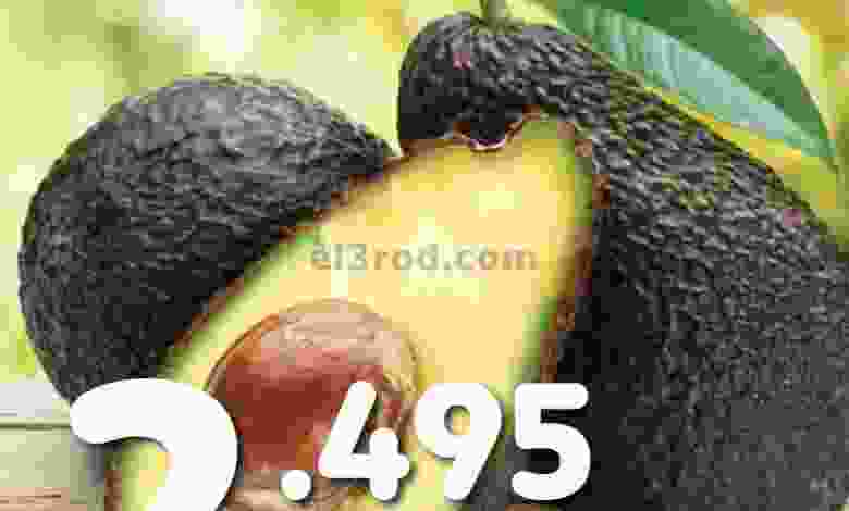 el3rod.com00002-557