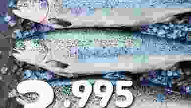 el3rod.com00002-753