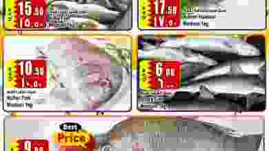 el3rod.com00002-932