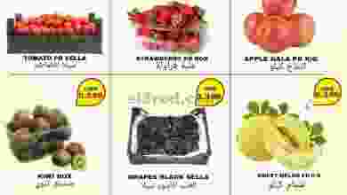 el3rod.com00002-995