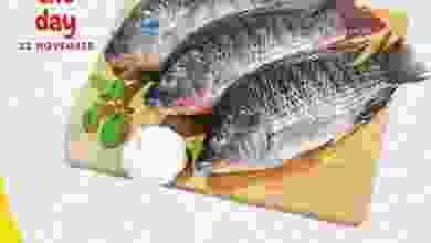 el3rod.com00005-432