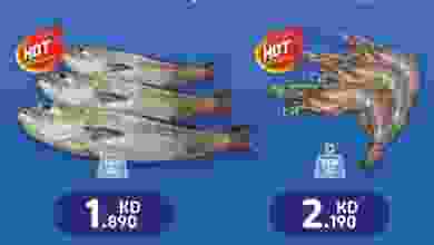 el3rod.com00006-315