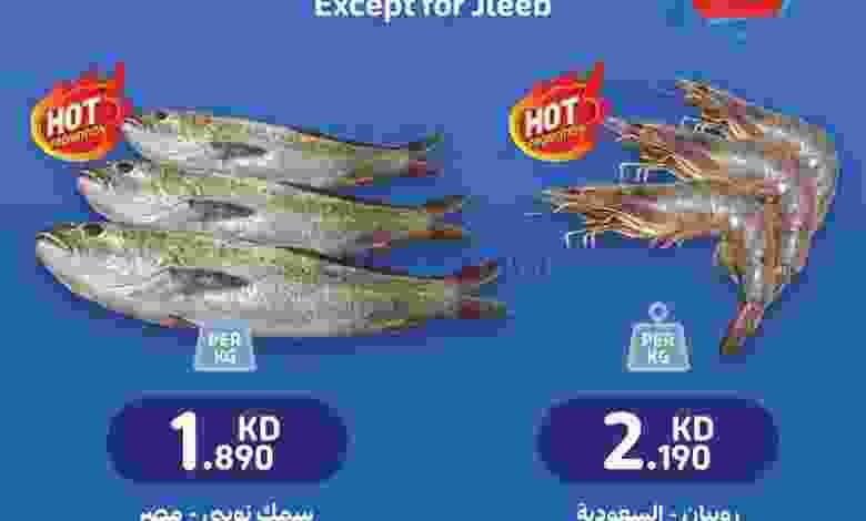 el3rod.com00006-315