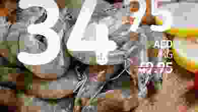 el3rod.com00006-510