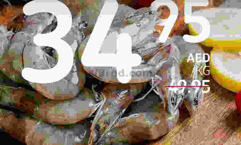 el3rod.com00006-510