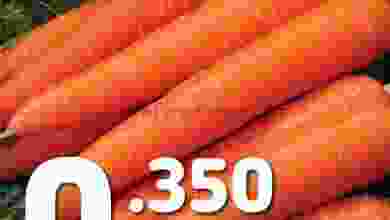 el3rod.com00012-203