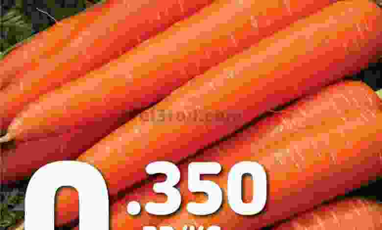 el3rod.com00012-203
