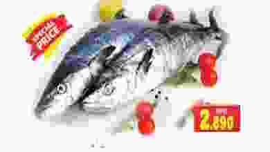 فهرس