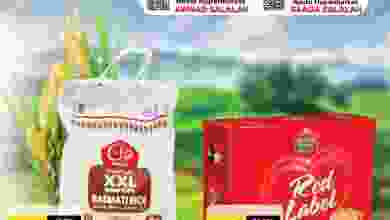 el3rod.com00001-102