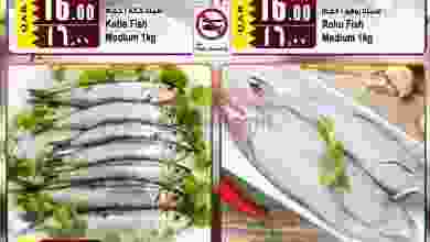 el3rod.com00001-1041