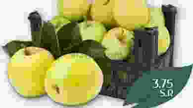 el3rod.com00001-1072