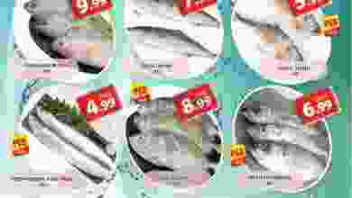 el3rod.com00001-1073