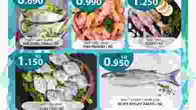 el3rod.com00001-1162