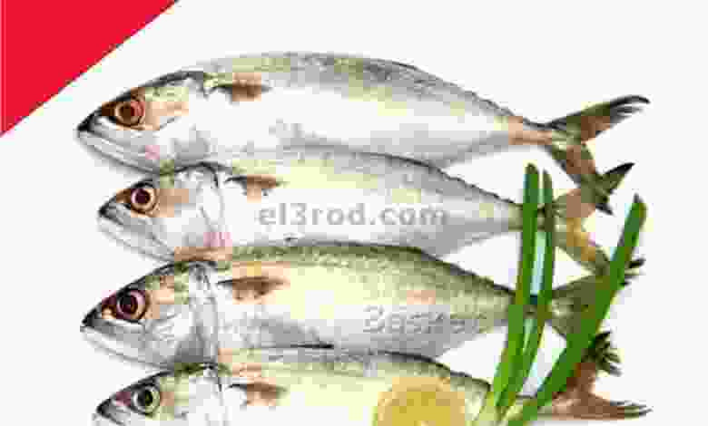 el3rod.com00001-1165
