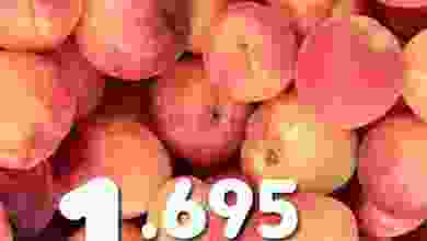 el3rod.com00001-1188