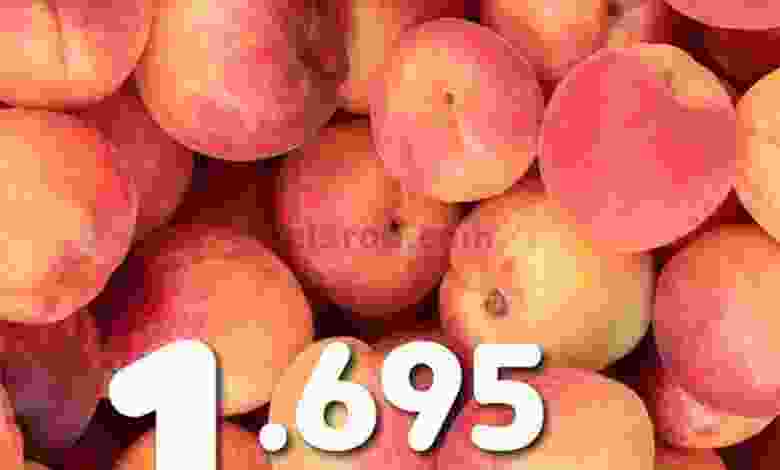 el3rod.com00001-1188