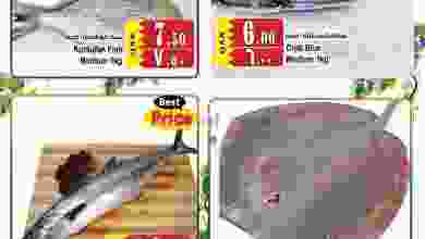 el3rod.com00001-122