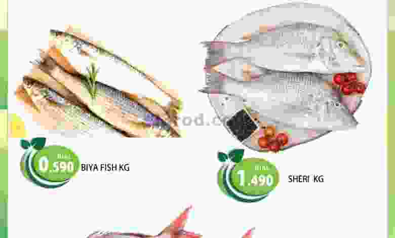 el3rod.com00001-1243