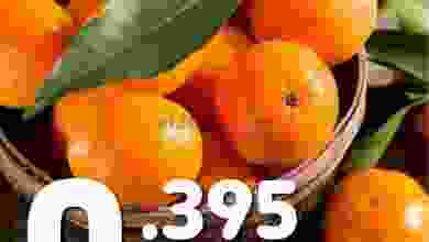 el3rod.com00001-1345