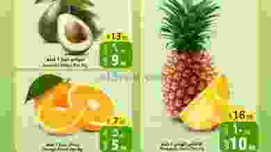 el3rod.com00001-137