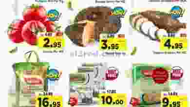 el3rod.com00001-1437