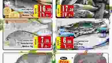 el3rod.com00001-162