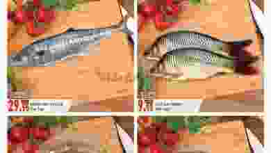 el3rod.com00001-178