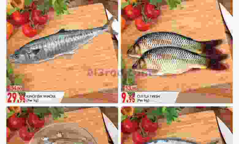 el3rod.com00001-178