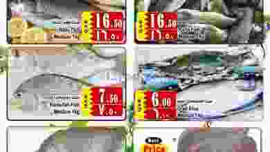 el3rod.com00001-216