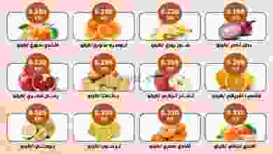 el3rod.com00001-256