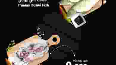 el3rod.com00001-283