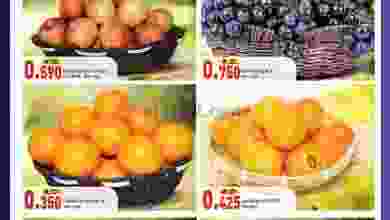 el3rod.com00001-299