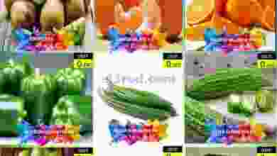 el3rod.com00001-301