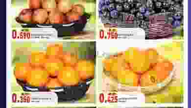el3rod.com00001-305